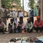 जंगली सुअर का मांस ले जाते पांच आरोपी गिरफ्तार, वन विभाग की बड़ी कार्रवाई